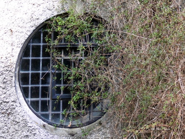 Bois des Moutiers (18) Avril 2012